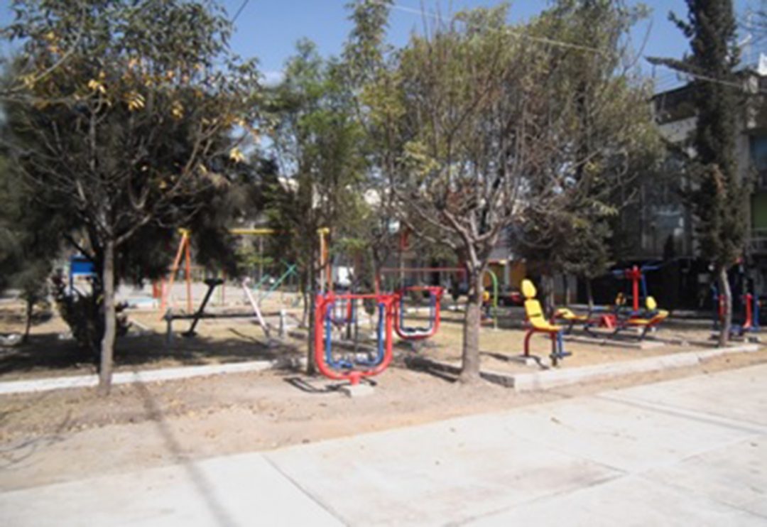 GIMNASIOS DF #01